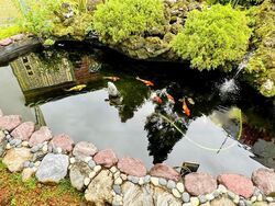 Bin Tong Park (D10), Detached #460160451